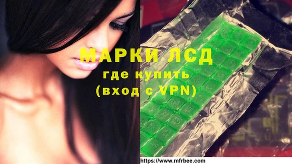 кокс Гусев