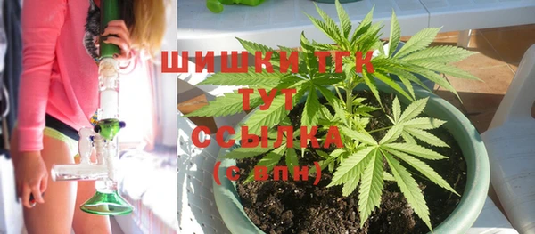 кокс Гусев